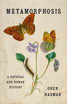 book cover for Metamorphosis