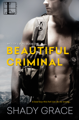 book cover for Beautiful Criminal