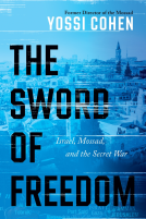 book cover for The Sword of Freedom