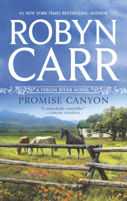 book cover for Promise Canyon