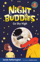 book cover for Night Buddies Go Sky High