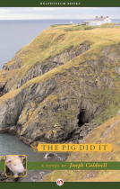 book cover for The Pig Did It