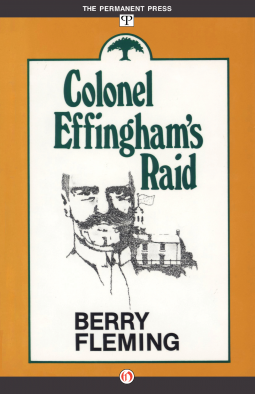 book cover for Colonel Effingham’s Raid