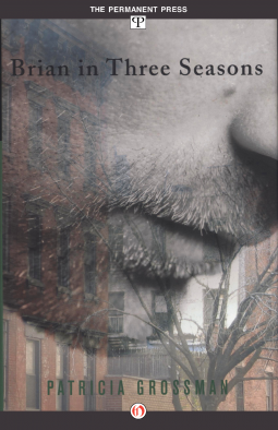 book cover for Brian in Three Seasons