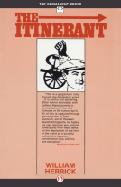 book cover for Itinerant