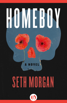 book cover for Homeboy