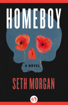 book cover for Homeboy