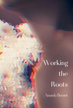 book cover for Working the Roots