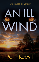 book cover for It's An Ill Wind