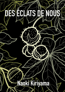 Couverture du livre pour Des éclats de nous