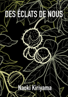 Couverture du livre pour Des éclats de nous