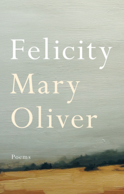 book cover for Felicity