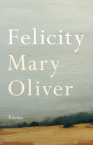 book cover for Felicity