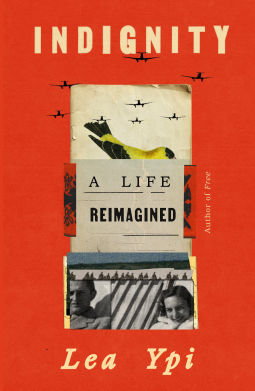 book cover for Indignity