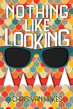 book cover for Nothing Like Looking