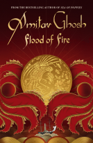 book cover for Flood of Fire