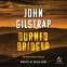 book cover for Burned Bridges