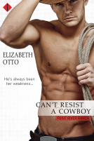 book cover for Can't Resist a Cowboy