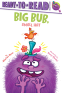 Cover Image: Big Bub, Small Hat