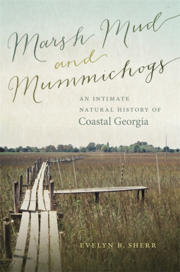 book cover for Marsh Mud and Mummichogs