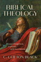 book cover for Biblical Theology