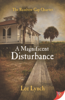 book cover for A Magnificent Disturbance