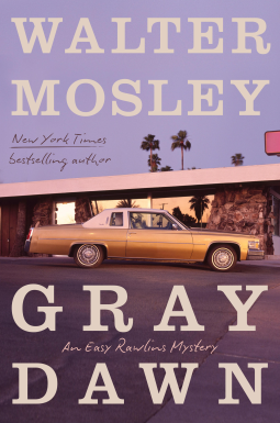 book cover for Gray Dawn