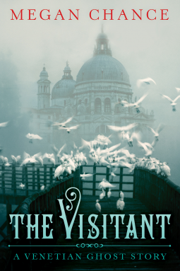 book cover for The Visitant