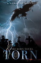 book cover for Torn