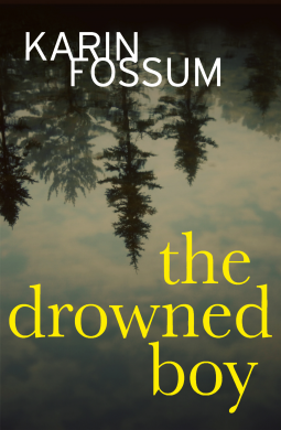 book cover for The Drowned Boy