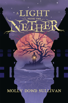 book cover for A Light From the Nether