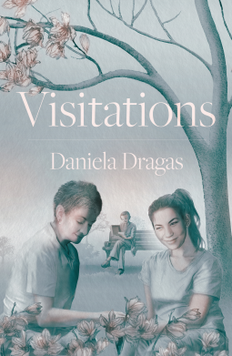 book cover for Visitations
