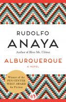 book cover for Alburquerque
