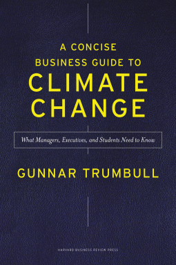 book cover for A Concise Business Guide to Climate Change