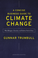 book cover for A Concise Business Guide to Climate Change