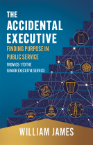 book cover for The Accidental Executive