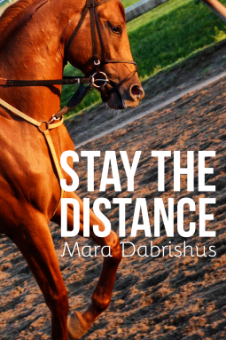 book cover for Stay the Distance