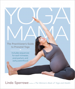 book cover for Yoga Mama