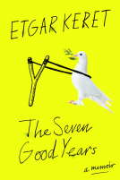 book cover for The Seven Good Years