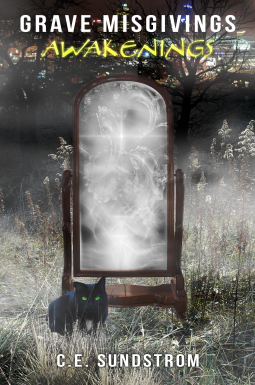 book cover for Awakenings
