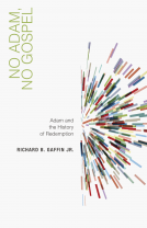 book cover for No Adam, No Gospel