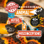 Cover Image: Animal Myths & Misconceptions