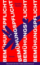 Buchcover für Bemühungspflicht