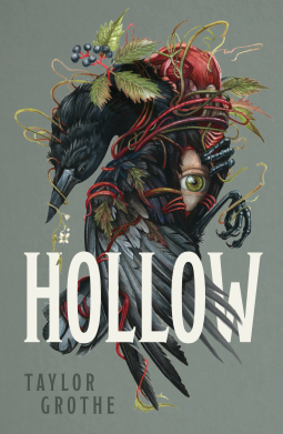 book cover for Hollow