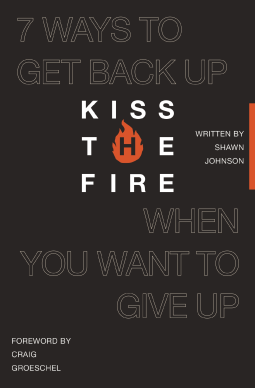 book cover for Kiss the Fire