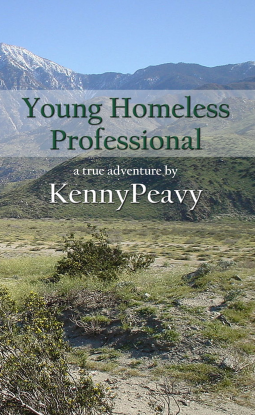 book cover for Young Homeless Professional Book II of the Ersatz Trilogy