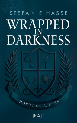 Buchcover für Wrapped in Darkness