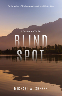 book cover for Blind Spot