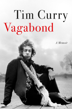 book cover for Vagabond