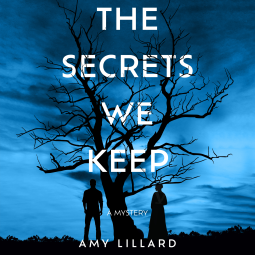book cover for The Secrets We Keep